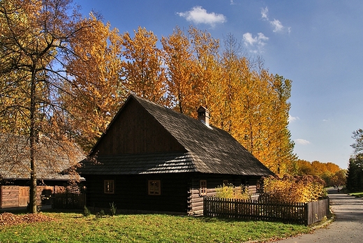 Park lski - skansen.