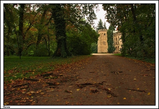 Turew - park i barokowy paac Chapowskich