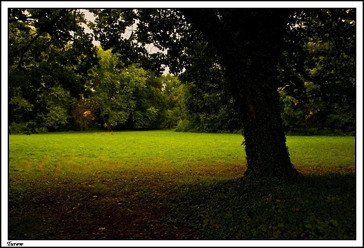 Turew - park otaczajcy barokowy paac Chapowskich