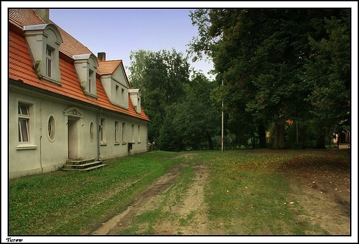 Turew - budynek gospodarczy nalecy do zaoenia paacowego Chapowskich