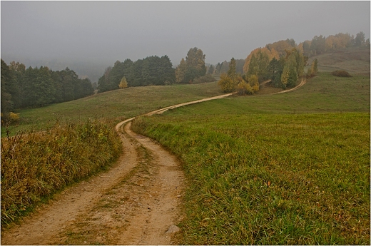 Suwalski Park Krajobrazowy - droga do Smolnik