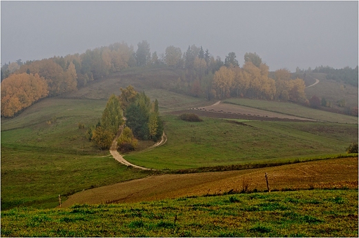 Suwalski Park Krajobrazowy - okolice Smolnik