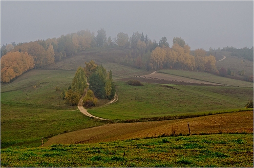 Suwalski Park Krajobrazowy - okolice Smolnik