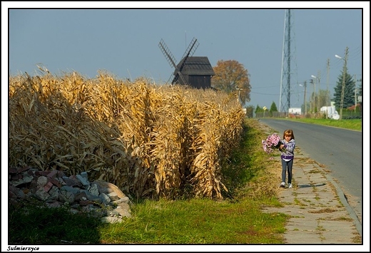 Sulmierzyce - maomiasteczkowe klimaty