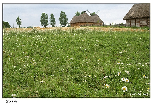 Skansen w Sierpcu - widok od tyu