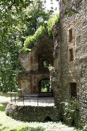 Zbkowice lskie - ruiny zamczyska