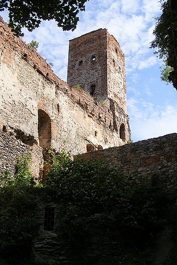 Zbkowice lske - wiea zamku