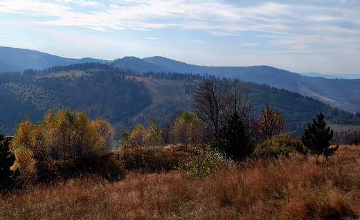 Panorama Beskidu lskiego widziana z trasy Szczyrk-Klimczok.