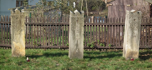 Stele oficerskie na cmentarzu wojennym w Ciechankach