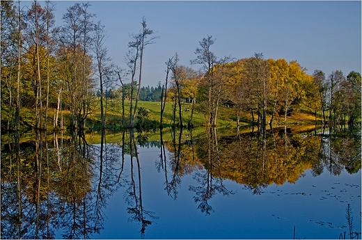 W Dzierwanach.
