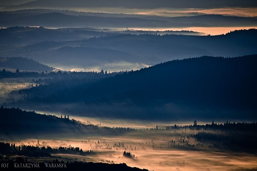 W Dolinie Grnego Sanu. Bieszczady