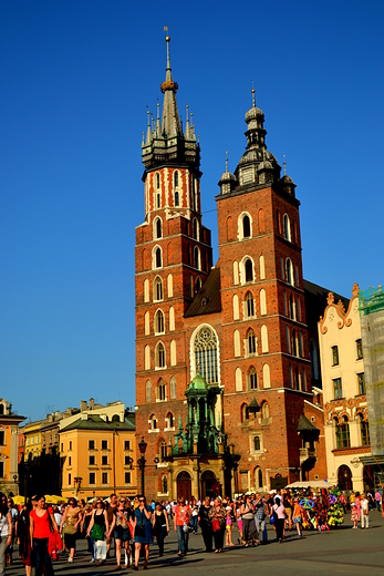 Koci Mariacki