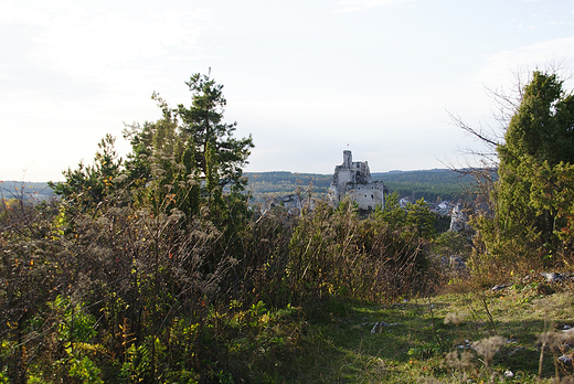 Mirw zamek i jego okolica.