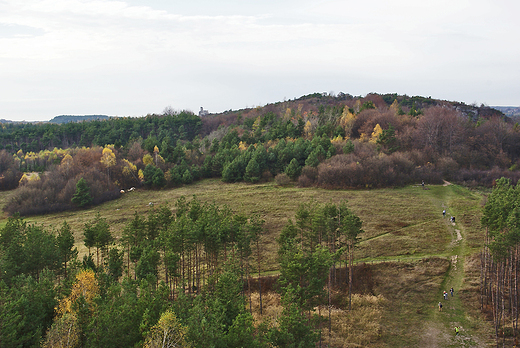 Mirw. Zamek i jego okolica.