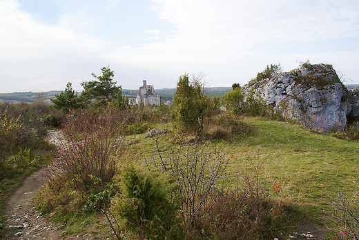 Mirw. Zamek i jego okolica.