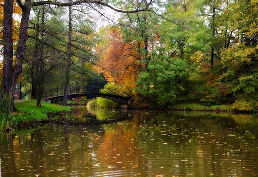 spacerkiem przez park