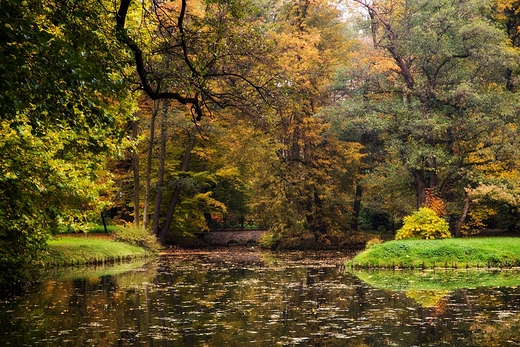 spacerkiem przez park