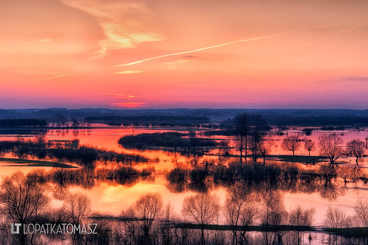 Dobry rok - marzec