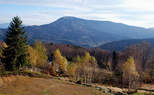 Masyw Skrzycznego-1257m n.p.m. najwyszej gry w Beskidzie lskim.