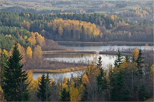 Jezioro Jaczno w Suwalskim Parku Krajobrazowym.