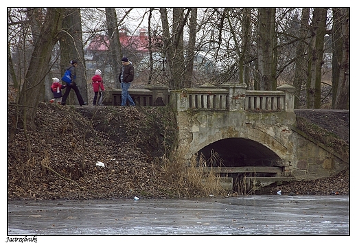 Jastrzębniki - most w parku