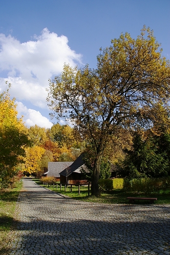 Park Śląski.