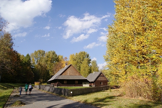 Park lski.