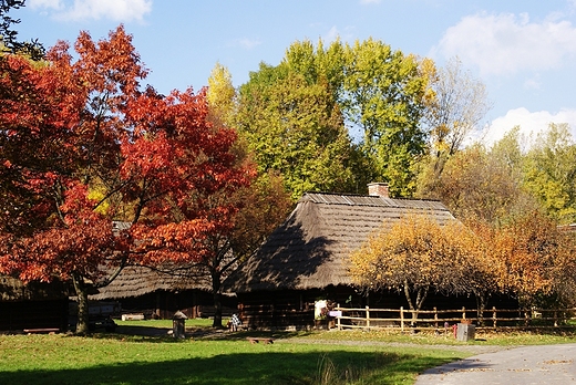 Park lski - skansen.