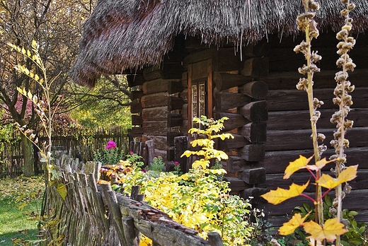 Park lski - skansen.