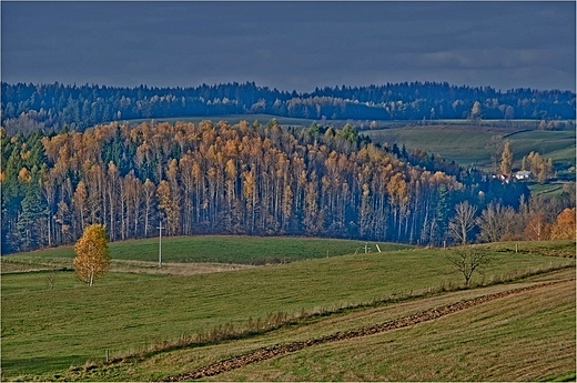 Obrazek z Suwalskiego Parku Krajobrazowego.