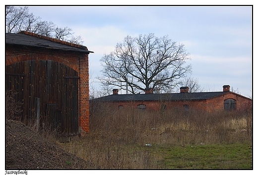 Jastrzbniki. Fragment XIX-wiecznych zabudowa gospodarczych