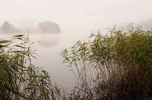 Poranek nad Jeziorem Lednickim