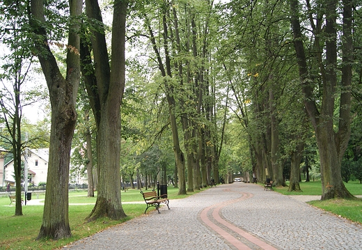 Park zdrojowy