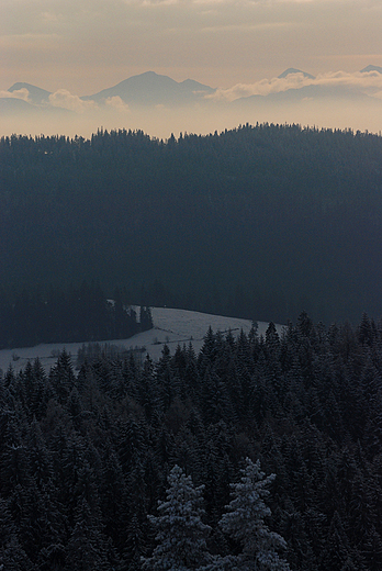 Widok z Maciejowej na Tatry