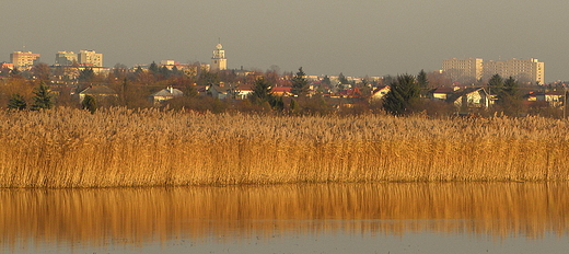 Nowe Miasto listopadowo