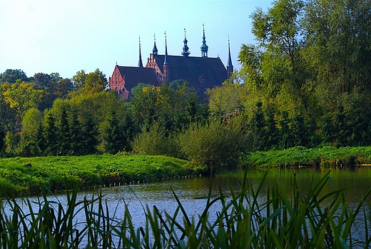 Widok na fromborsk katedr z okolic Zalewu Wilanego