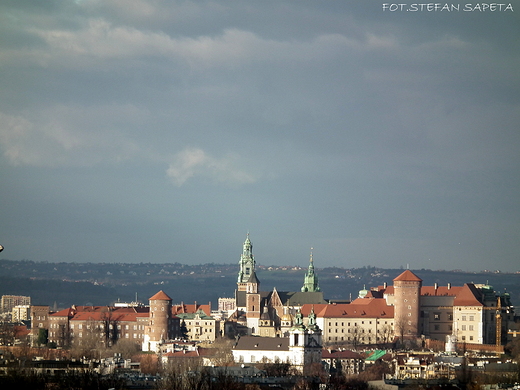 Wawel w piguce