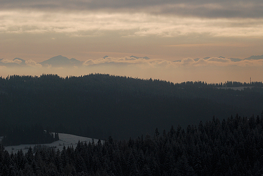 Panorama Tatr z Bacwki na Maciejowej