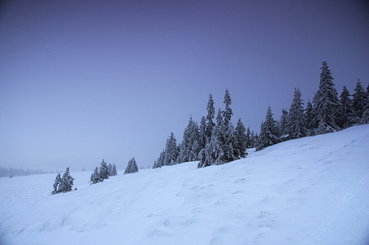 Poranek w Karkonoszach