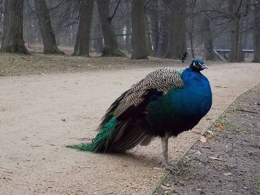 Warszawa. Grudniowe spotkania w azienkach.