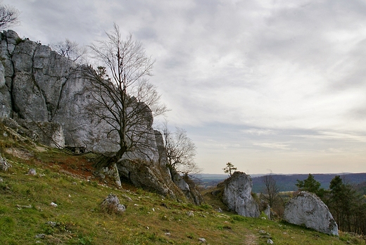 Góra Zborów