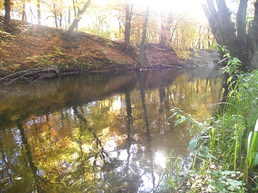 Rzeka Drawa - Drawieski Park Narodowy.