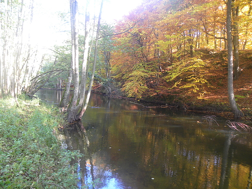 Rzeka Drawa - Drawieski Park Narodowy.