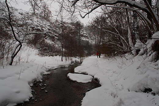 W drodze do Wwozu w Skaach: Nad Dobruchn. Czajcice