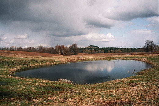 Cisowa Gra. Suwalszczyzna