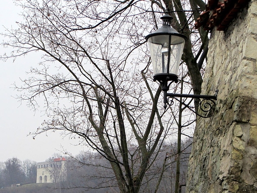 Jesienny Kazimierz