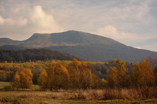 Krlowa Bieszczad - Tarnica