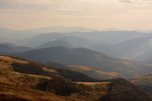 ...w odwiecznej krainie niedwiedzia i wilka...