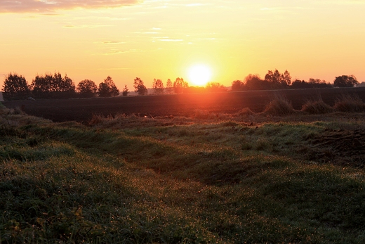 W pierwszych promieniach soca