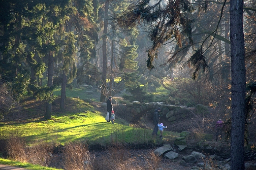 Park Skaryszewski